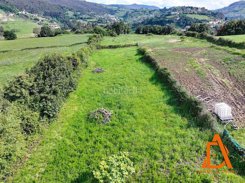 Foto c174c3fd-fc95-4e0a-9068-5e1895dd513c. Finca rústica en Santurio Gijón
