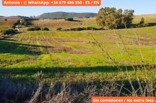 Rural plot in Arcos de la Frontera