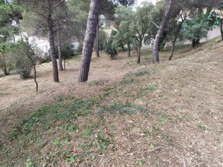 Terreno residenziale in Aiguaviva Parc