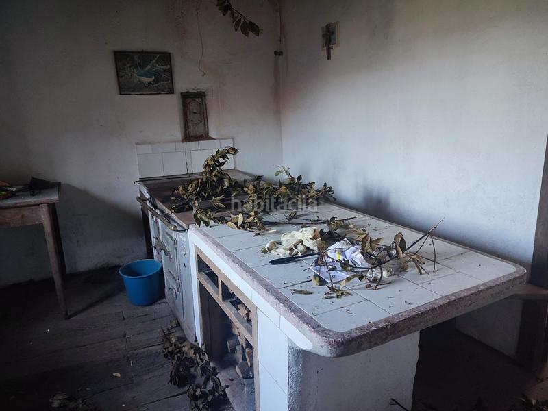 Foto 93ddf9c2-4365-46e8-8f72-74a2ad8b826c. Bauernhof in Vila de Cruces