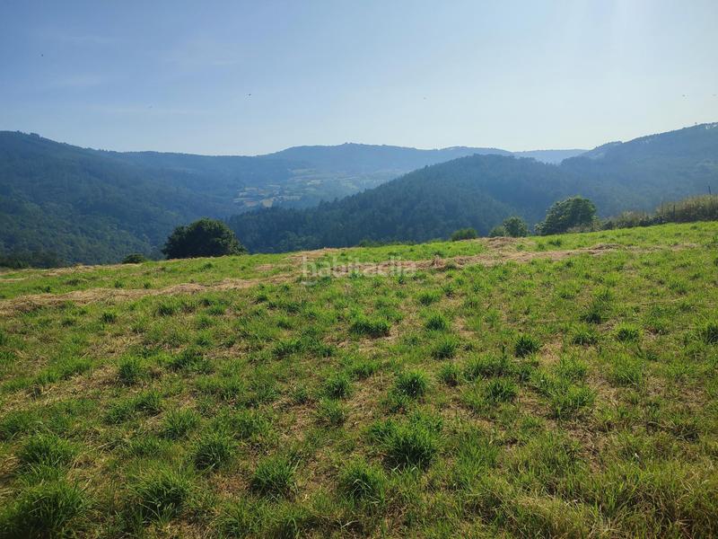 Foto d75c74b4-a4f8-4252-8973-bc5f68d398fd. Bauernhof in Vila de Cruces