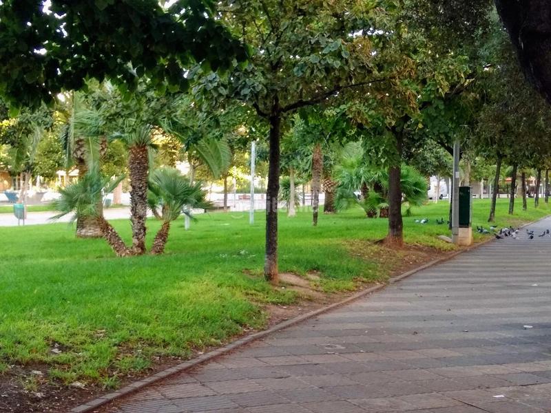 Foto 28a9de2e-80cd-4c30-9a2d-359dc5d5934c. Parking voiture dans Avenida de Abril-9 de Octubre Sagunt