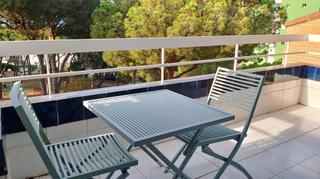 Apartament a Los Pinos-Politur