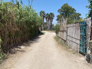 Rural plot in El Palmar