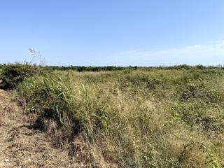 Rural plot in Polinyà de Xúquer