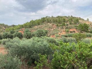 Masia a Cehegín