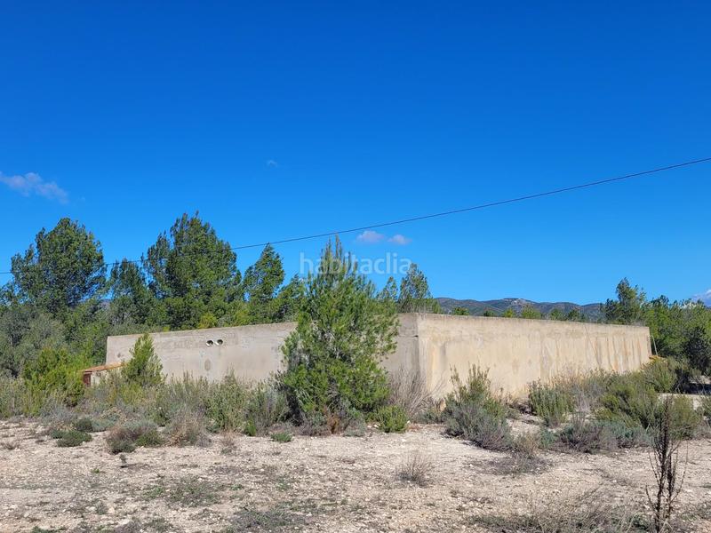 Foto abd150e2-64ab-446e-868f-c9d7e13c8d0c. Fondo rustico in El Pilar Ontinyent