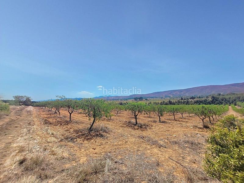 Foto f82cbf1b-d3d7-48cc-981e-d78882472a1c. Landgut in El Pilar Ontinyent