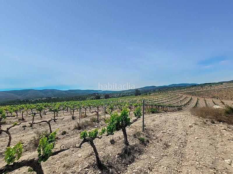 Foto cbbb8af2-89b7-4dcb-aa63-8ce908df0220. Propriété dans El Pilar Ontinyent