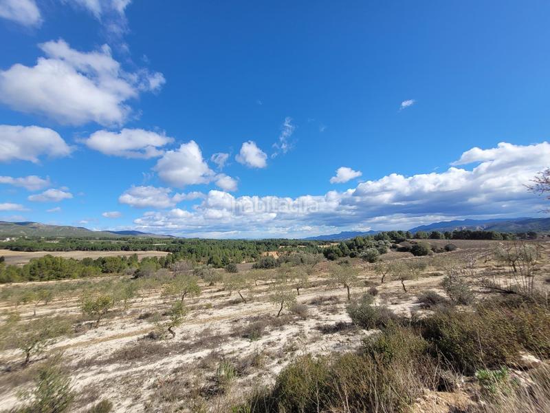 Foto e618a903-a67e-417c-8316-9c8e423c6e75. Propriété dans El Pilar Ontinyent