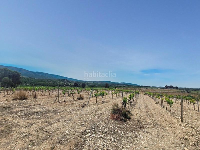 Foto 0588b857-272e-4d63-a6ba-53e64265002b. Finca rústica a El Pilar Ontinyent