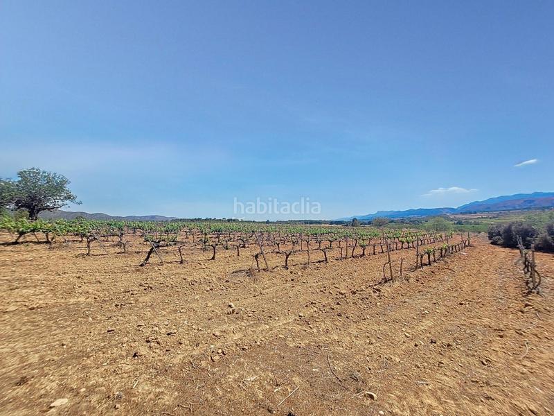 Foto 5de662b4-66b0-4a96-9e78-7e07366aa201. Finca rústica a El Pilar Ontinyent