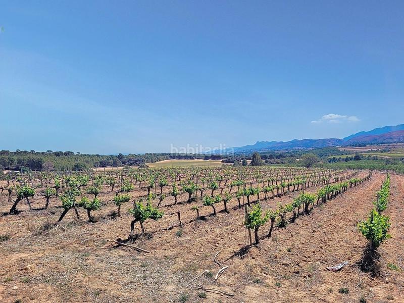 Foto 8a4e4a3c-197c-4711-acc8-734d5a4f51e4. Finca rústica a El Pilar Ontinyent