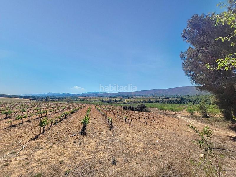 Foto c57f631e-97ae-49df-bb8f-da3c842d7870. Finca rústica a El Pilar Ontinyent