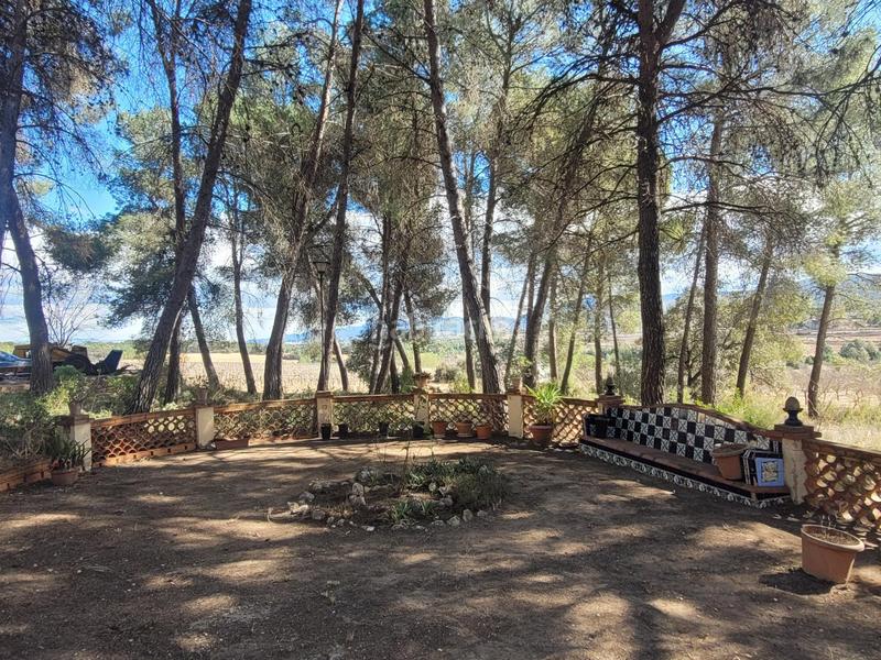 Foto a26d9dca-767d-4bc7-8583-c19e08678399. Finca rústica en El Pilar Ontinyent