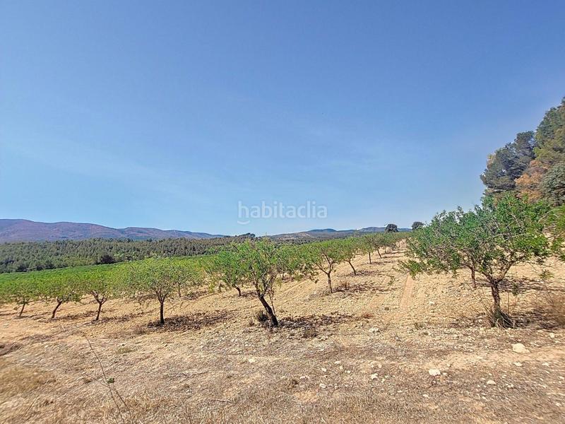 Foto e95759a2-e7ee-4cb6-8bb2-c55916e0becd. Finca rústica en El Pilar Ontinyent