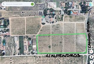 Rural plot in Alcantarilla