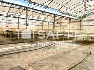 Rural plot in Alfarb