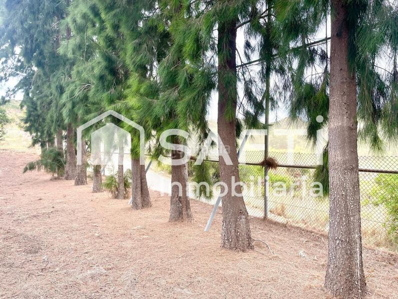 Foto 0e44d45e-125c-4bfd-ad2b-3e5481817c1e. Finca rústica en Alfarp