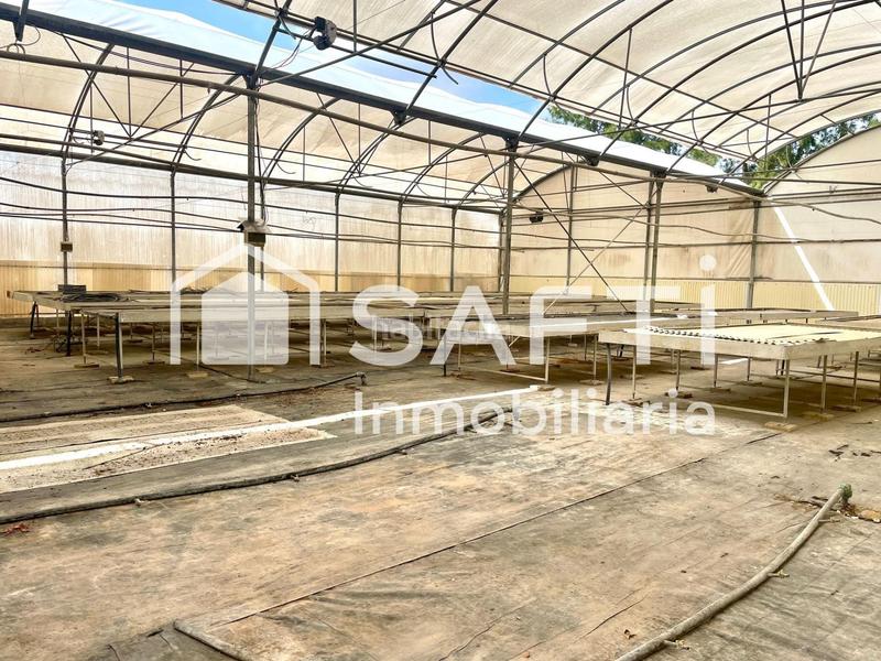 Foto 196b20ca-9842-47d0-b028-f1c287caf67f. Finca rústica en Alfarp