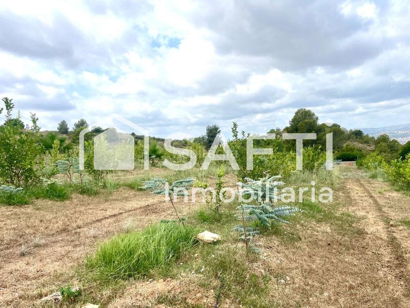 Foto 1dce0844-6702-493f-a464-e64fe9287e11. Finca rústica en Alfarp