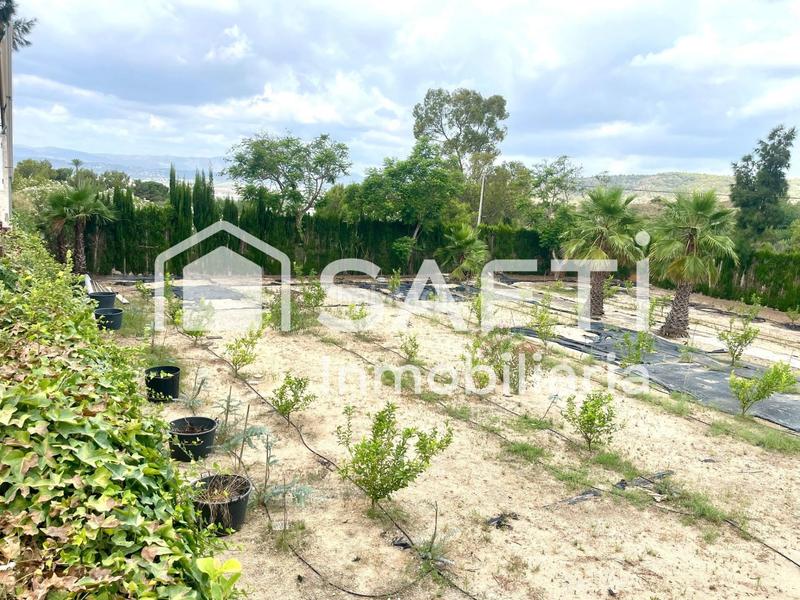 Foto 31e53bd0-8b88-457e-833b-bc7cce9a0eb3. Finca rústica en Alfarp