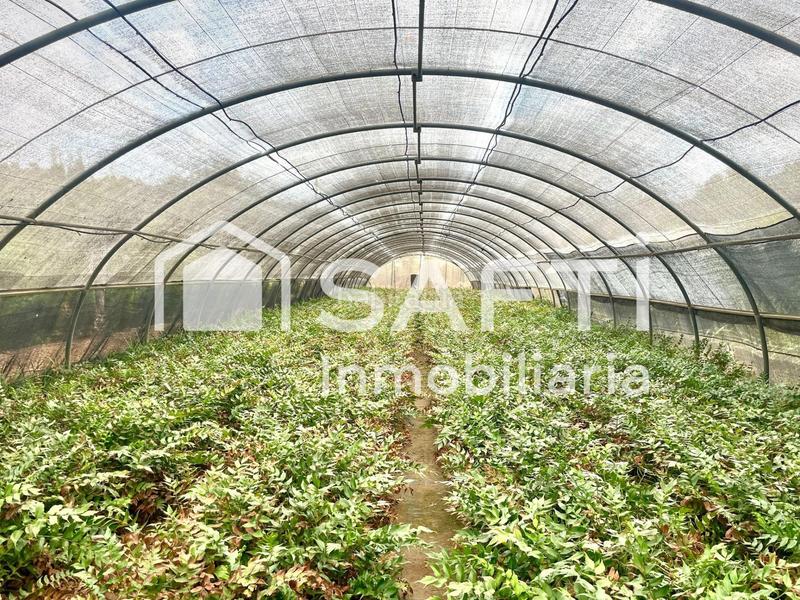 Foto 3ad5e423-8a4d-490b-8a1b-d30f94684ea6. Finca rústica en Alfarp