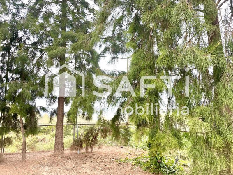 Foto 47ea078d-b46e-4d56-bc86-6623d3fe45c3. Finca rústica en Alfarp