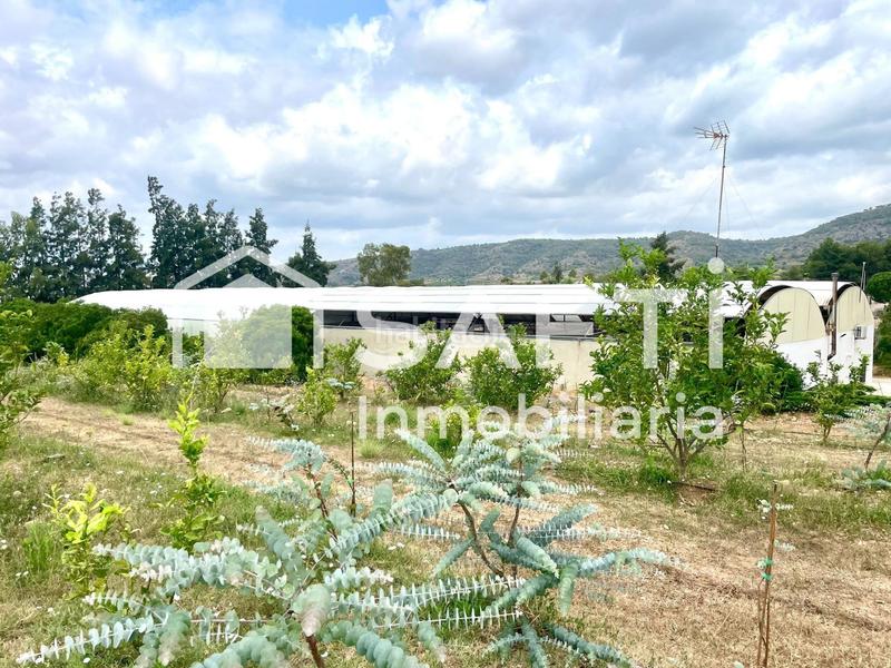 Foto 5c45e9f2-b47b-46a5-b540-843ff00835c8. Finca rústica en Alfarp