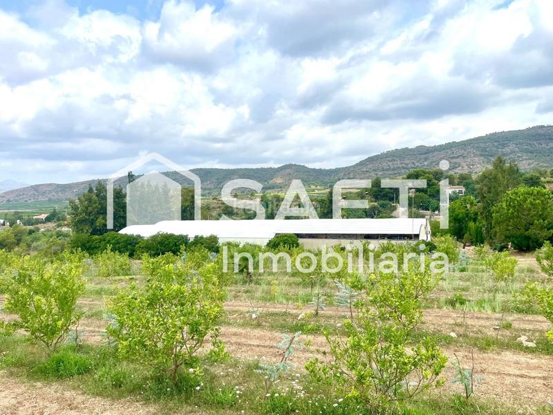 Foto 7e8985f3-7180-41ce-9019-442636b9b590. Finca rústica en Alfarp