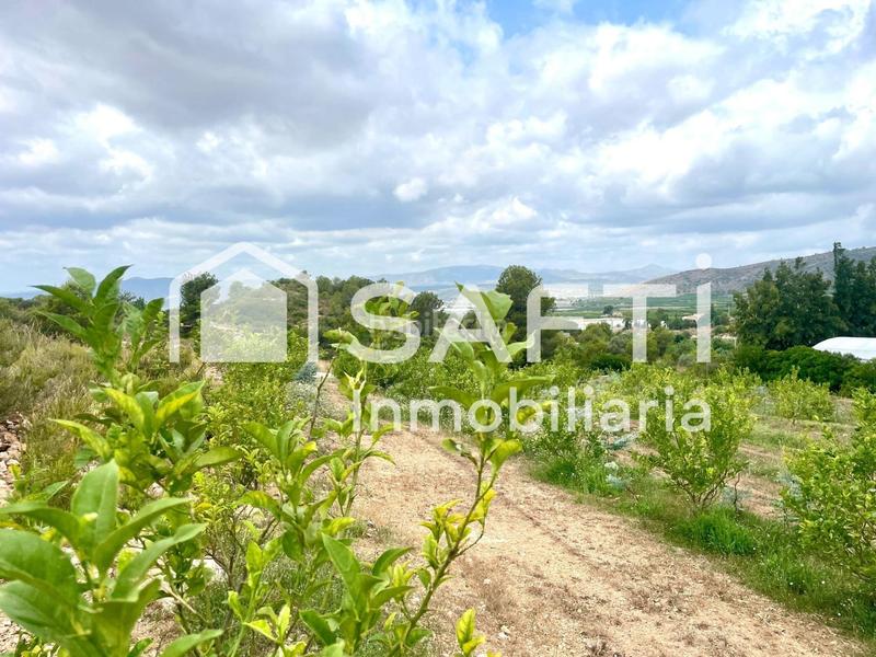 Foto 9100e347-db2a-4924-9b15-b4903ad8e81b. Finca rústica en Alfarp