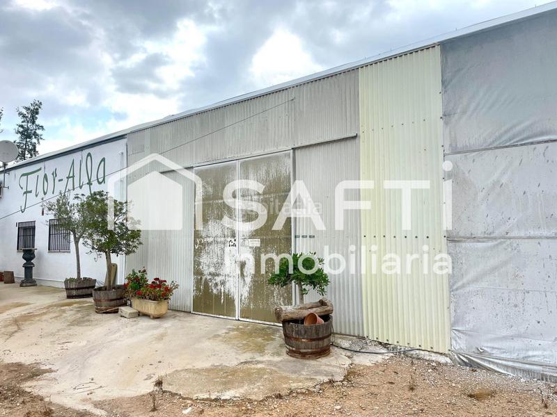 Foto 9f967a8c-1a03-45be-b8b2-6473665ef466. Finca rústica en Alfarp
