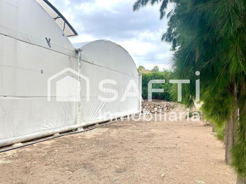 Foto d67018be-9dff-4949-8bd6-cb994d1f1979. Finca rústica en Alfarp