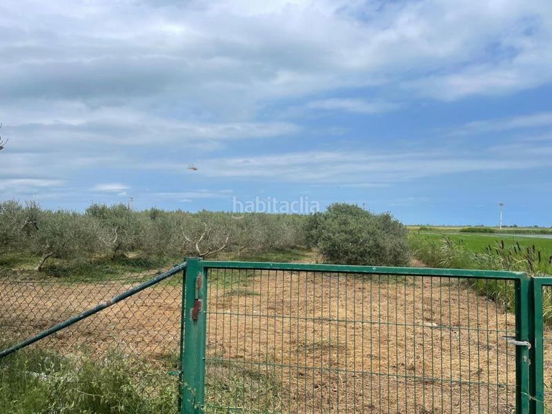 Foto 800b0554-a767-40fe-96c9-36fbb9a7c1cc. Terreny residencial a Eucaliptus - Poble Nou del Delta Amposta