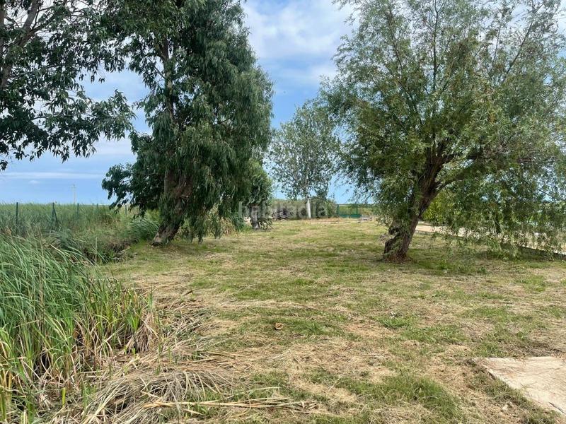 Foto c5f5a220-331b-48cb-91b6-db73514210c1. Terrain résidentiel dans Eucaliptus - Poble Nou del Delta Amposta