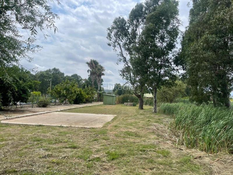 Foto ef42d6c0-f562-4217-9e35-c43d057980e2. Terrain résidentiel dans Eucaliptus - Poble Nou del Delta Amposta