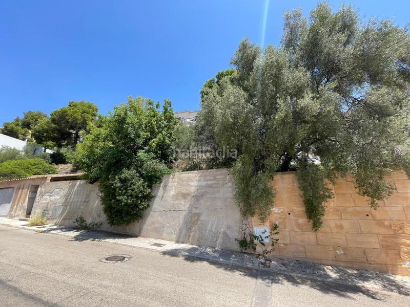 Foto 6105e028-89b6-4268-8566-59961b346cd5. Casa en Calvià poble Calvià
