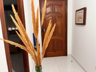 Flat in Porto do Son
