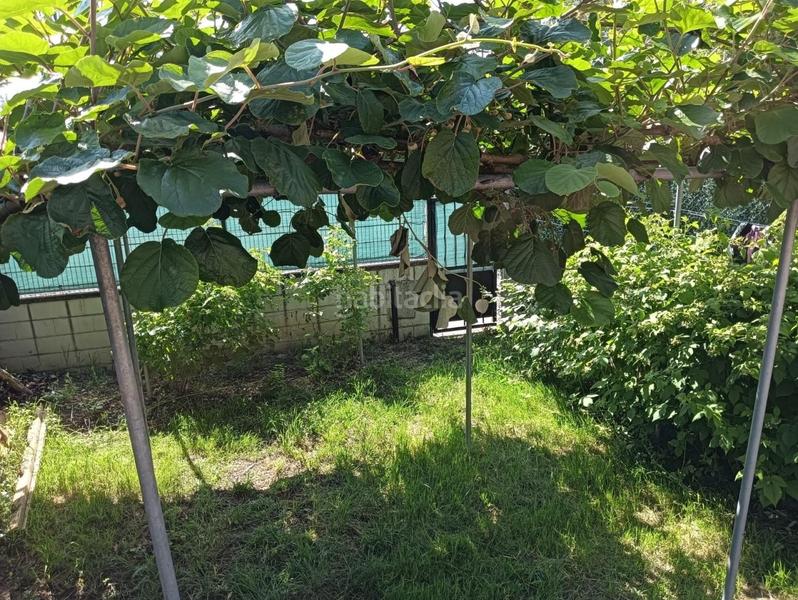 Foto a1425901-7a31-4a86-8c25-2c7c596c375f. Semi detached house with parking in Monforte de Lemos