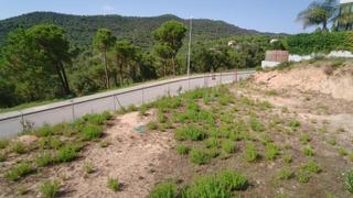 Residential Plot in Mas Mora-Sant Daniel