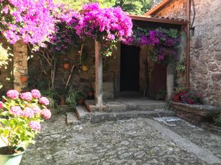 Mas à Rois