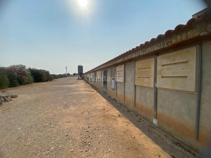 Foto 4f8073fc-3a4c-41c4-a6d0-b77b3a423280. Finca rústica a Andilla