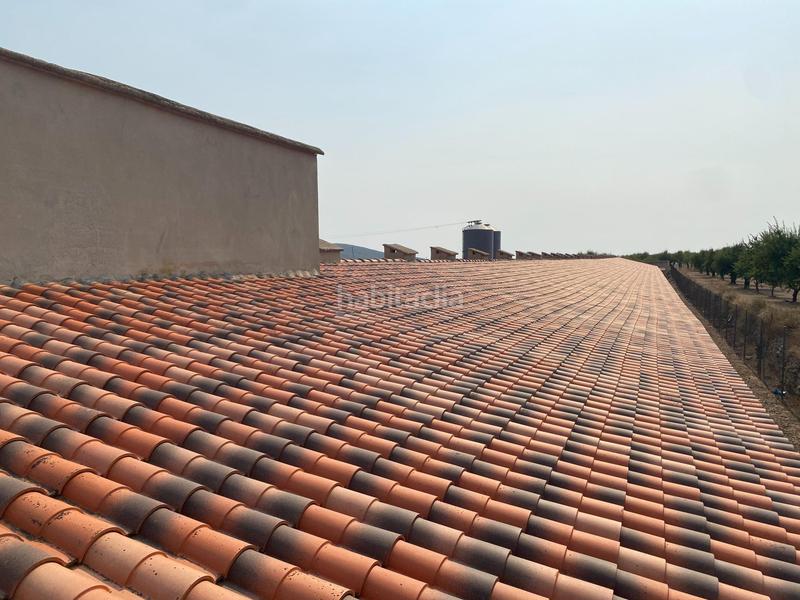 Foto ca244956-3329-4ca4-8fa3-c014439c54aa. Finca rústica a Andilla