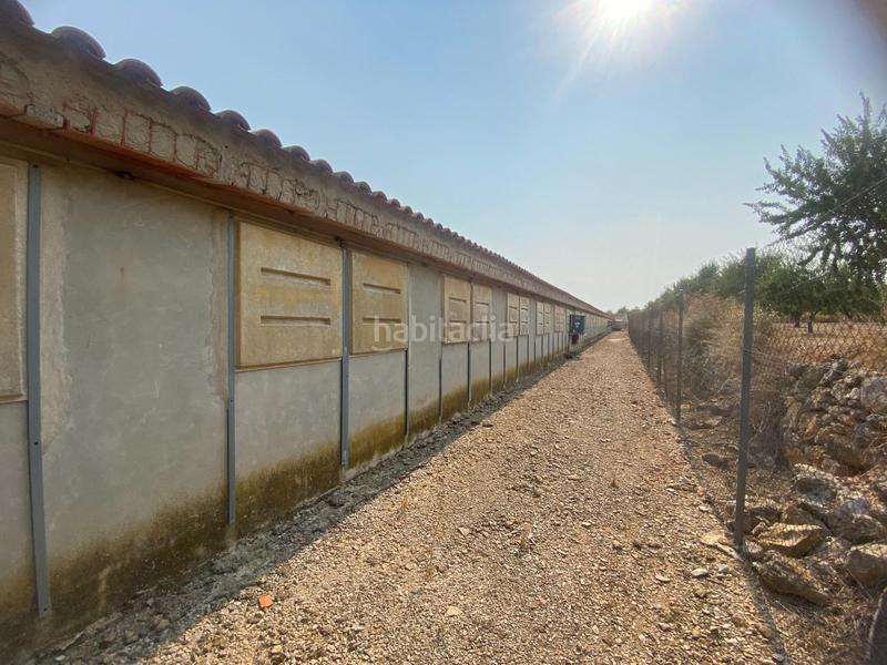 Foto e4228f95-fa6f-4173-b7d9-38ef696e97d9. Finca rústica a Andilla