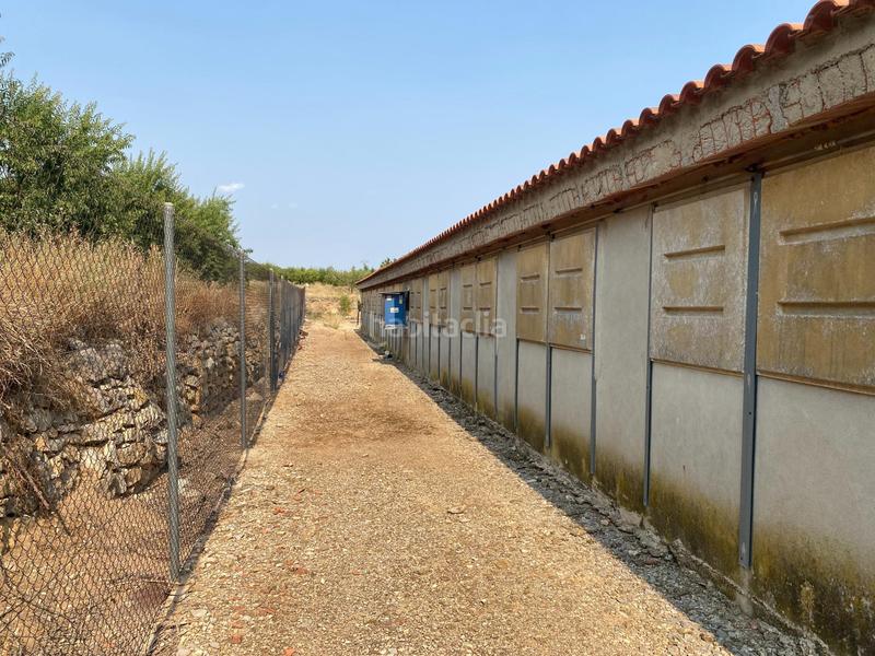 Foto f30a952f-f8f0-45df-86f3-40e2a7f6d9b1. Finca rústica a Andilla
