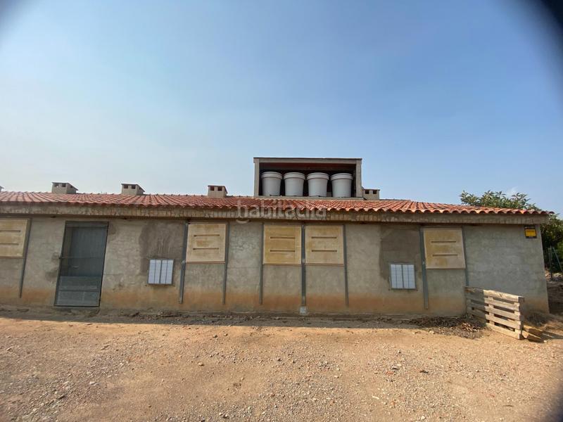 Foto fe767909-fe9b-45e5-b919-ff535476714b. Finca rústica a Andilla