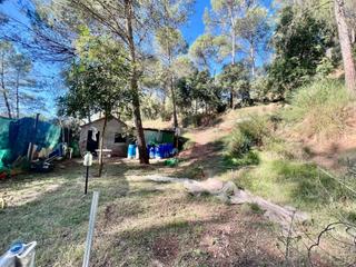 Rural plot in Sant Llorenç Savall