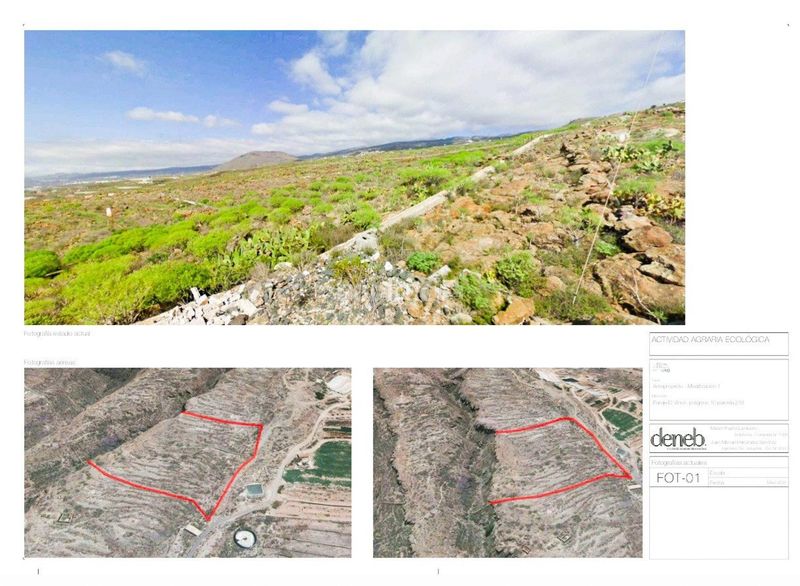 Foto e8a54c6f-1cc3-46d7-ae2d-f067738e7801. Finca rústica en La Quinta - Taucho Adeje