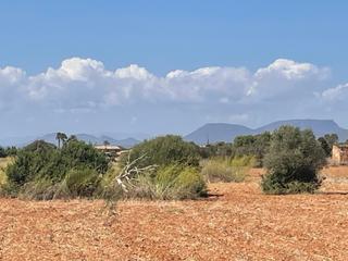 Casale in Campos