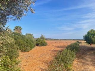 Mas à Campos
